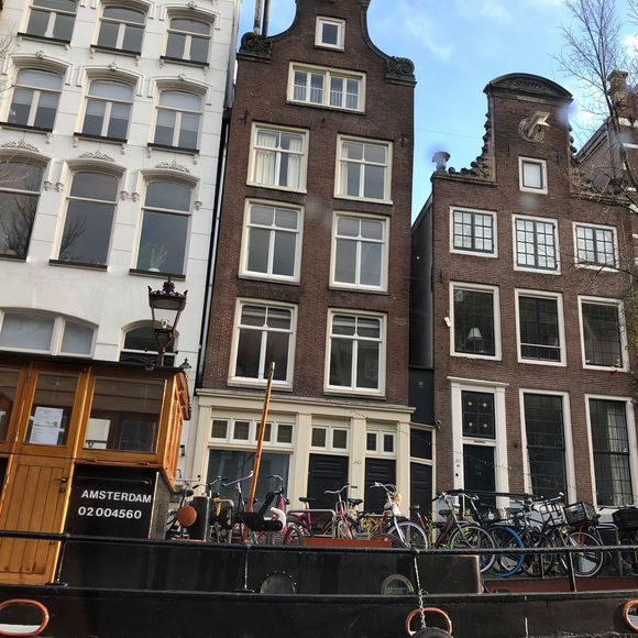 Meet your Posher, Aldo - Picture 1 of 1